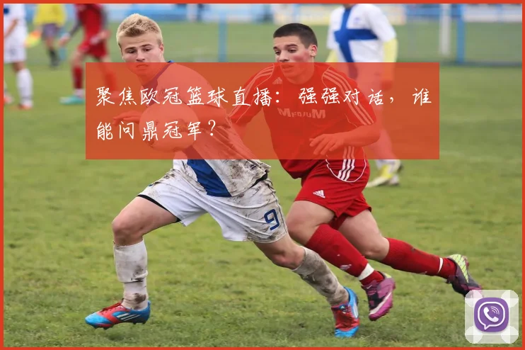 聚焦欧冠篮球直播：强强对话，谁能问鼎冠军？