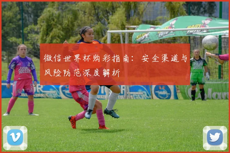 微信世界杯购彩指南：安全渠道与风险防范深度解析