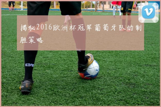 揭秘2016欧洲杯冠军葡萄牙队的制胜策略