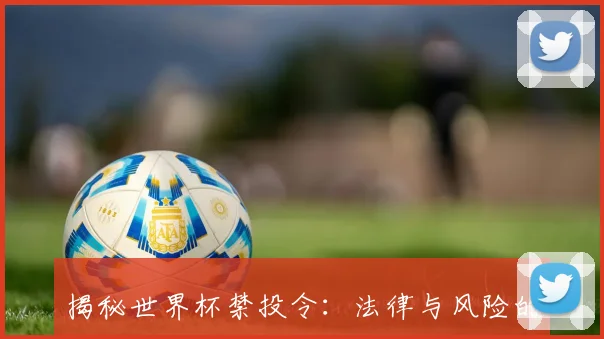 揭秘世界杯禁投令:法律与风险的双重考量