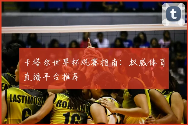 卡塔尔世界杯观赛指南：权威体育直播平台推荐
