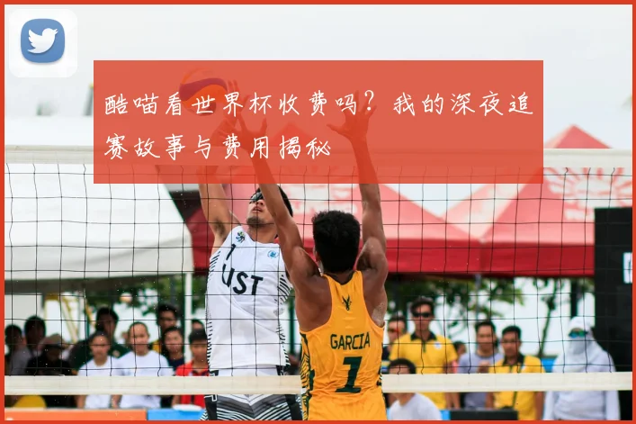 酷喵看世界杯收费吗？我的深夜追赛故事与费用揭秘